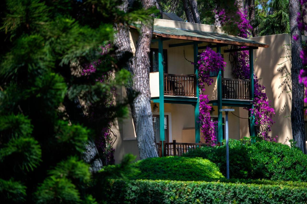 Turquoise Hotel Side Exterior foto